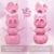 6 iSANMATE HS PLA MATE ROSA 1.75mm 1kg